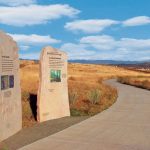 castle rock homes Trailhead at the Meadows