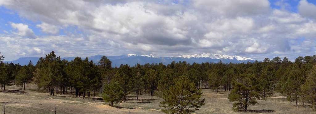 What's one of the most notable things about Black Forest, Colorado? The Views! Panoramas like this are more of the norm than the exception. 